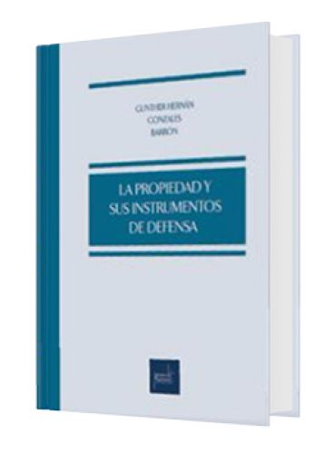 LA PROPIEDAD Y SUS INSTRUMENTOS DE DEFENSA LA PROPIEDAD Y SUS INSTRUMENTOS DE DEFENSA